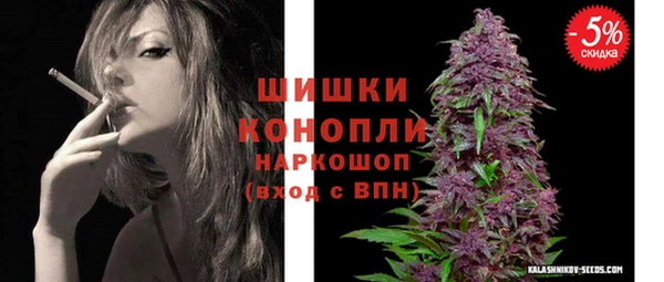 PSILOCYBIN Кодинск