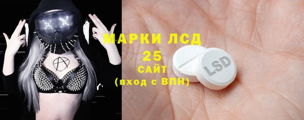 твердый Козельск