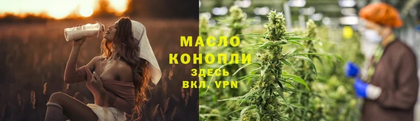 твердый Козельск
