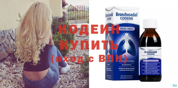 твердый Козельск