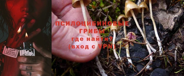 твердый Козельск