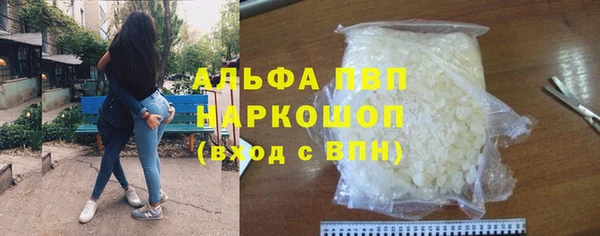 твердый Козельск