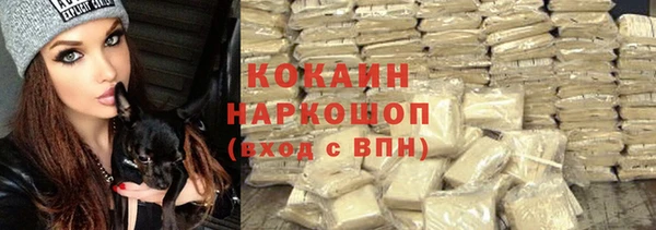 твердый Козельск