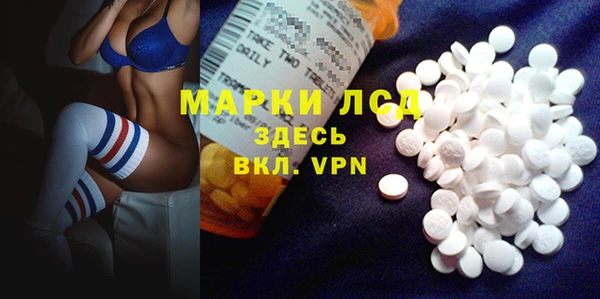 твердый Козельск