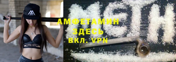 твердый Козельск