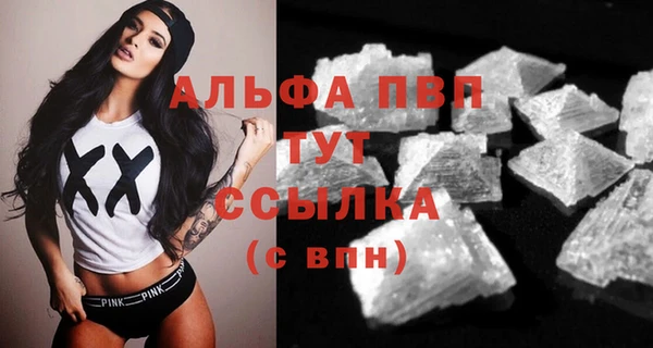твердый Козельск
