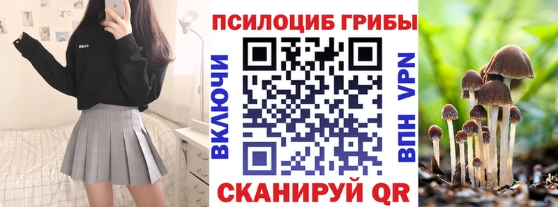 Галлюциногенные грибы Psilocybine cubensis  Купить где  Ессентуки 